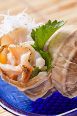 活真つぶ貝の刺身
