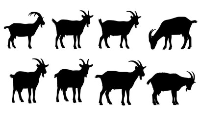Fototapeta premium Minimalist Goat Silhouette Farm Animal Illustration Set for Agriculture and Rural Design
