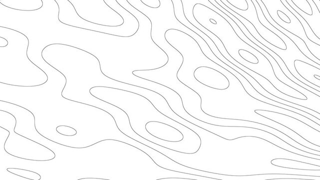Abstract Topographic Map Lines With Dotted Texture In Black And White