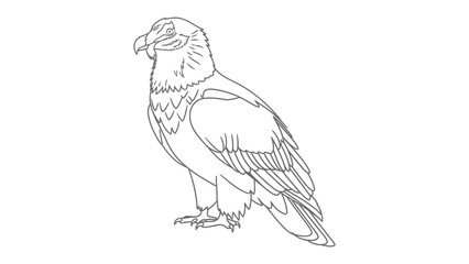 Obraz premium Majestic Eagle Sketch: A detailed line drawing presents the powerful profile of a eagle, evoking the spirit of freedom and strength.