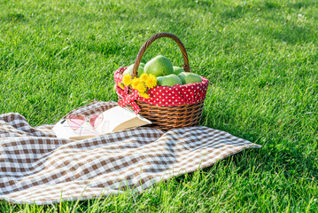Picnic setup on grass with basket and book