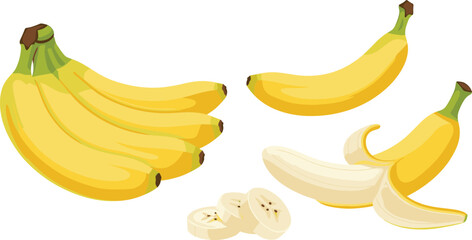 Fresh yellow bananas bunch with peeled banana and slices, tropical fruit healthy food illustration isolated vector set © Prodip
