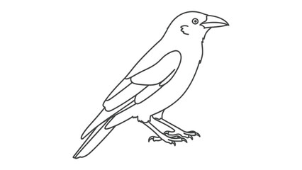 Crow Line Art: A sleek crow silhouette, captured in simple lines, stands poised with a keen gaze, perfect for artistic and design projects. © hafs121