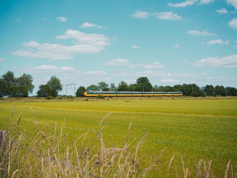 Train crossing by a field