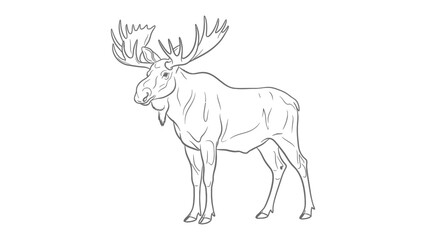 Fototapeta premium Majestic Moose in Wilderness: A detailed line drawing showcases the impressive stature of a moose, with its large antlers. Capturing the essence of the animal's wilderness environment.