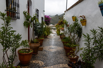 One of the picturesque streets of Frigiliana, a white Andalusian village, with whitewashed facades decorated with potted plants and flowers, and traditional mosaic floors. M&aacute;laga, Spain