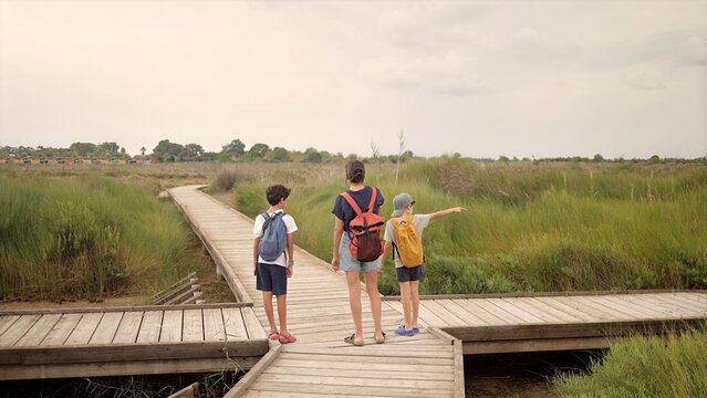 Family with two children and mother hiking on a boardwalk path through green wetland reeds, exploring nature and enjoying an outdoor adventure together at a crossroads