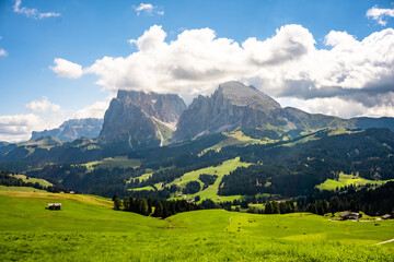 Fototapeta premium Alps of Siusi. View of the Alpe di Siusi in Val Gardena, Ortisei, South Tyrol. Italy