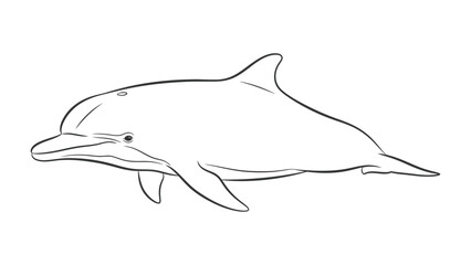 Fototapeta premium Dolphin Sketch: A sleek, graceful dolphin swims effortlessly in the tranquil water, captured in a minimalist sketch that emphasizes its streamlined form and playful spirit.