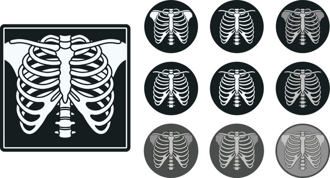 Human rib cage xray icon set medical skeleton chest anatomy healthcare radiology vector illustration collection design