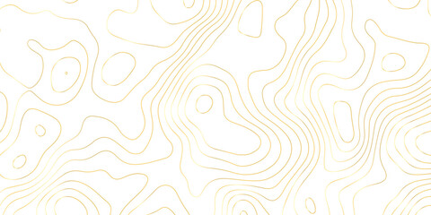 Abstract Golden Contour Line Topographic Pattern With Modern Luxury Design