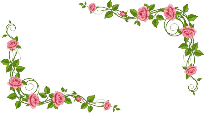 Delicate pink roses with green leaves and swirling vines form decorative corner borders on a white canvas rose border floral design decorative vines ornamental elegant romantic
