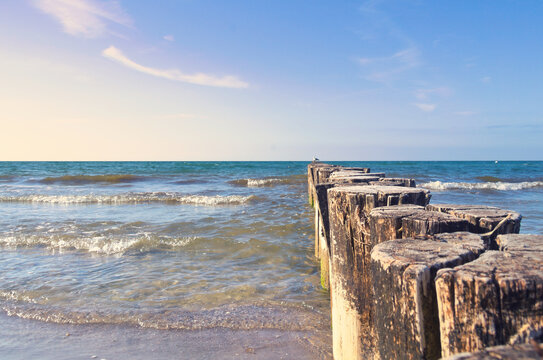 Wooden breakwaters (groynes) lead from the sandy beach into the blue sea of ​​the Baltic. Gentle waves lap against the weathered pilings under a clear sky. An idyllic coastal scene.