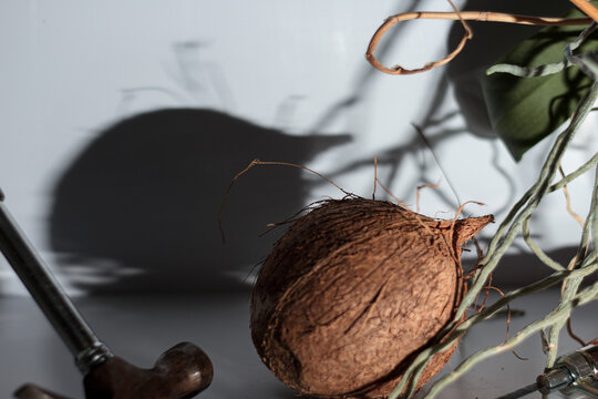 Coconut with hammer and hacksaw still-life, cracking coconut tools