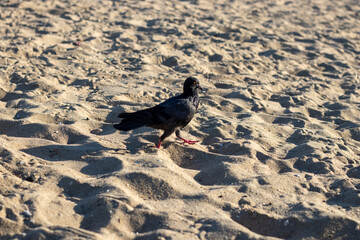 Fototapeta premium a screenshot from a social media post showing a coastal scene. 