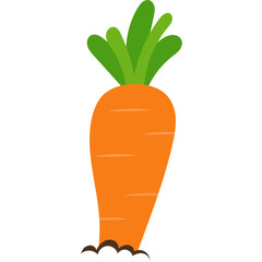 Cute Cartoon Carrot Illustration