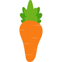 Simple Carrot Illustration