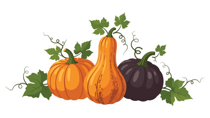 Obraz premium Autumn harvest composition with three different types of pumpkins and squash, decorated with fresh green vines and leaves.