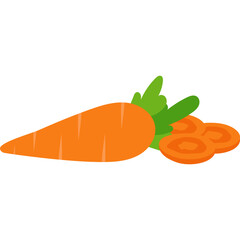 Carrot Vegetable Illustration