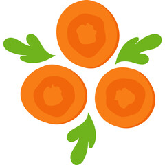 Three Carrot Slices Icon