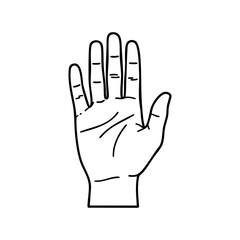 Fototapeta premium Line illustration of an open human palm with detailed finger lines and creases. Vector image of a 