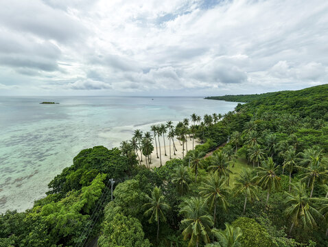 Aerial view of lush green trees meet the turquoise sea in a stunning coastal landscape at Bobby Beach, Karimunjawa, Central Java, Indonesia.