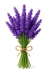 Obraz premium Bouquet of Fresh Purple Lavender Flowers Tied with Jute Rope Bow Isolated on White Background - Aromatic Herbal Bunch for Wellness, Relaxation, and Home Decor