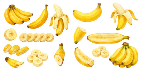 A charming watercolor collection of banana fruits with sliced rounds and bunches for healthy food illustrations and kitchen design. © liana