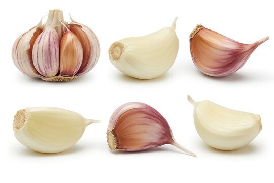 Various garlic bulbs and cloves on white background