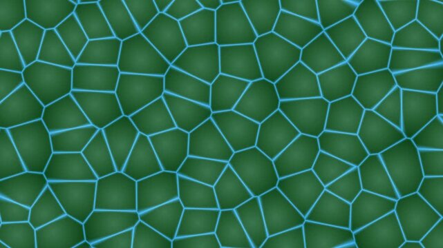 Aerial view of polygonal pattern with green cells and blue boundaries