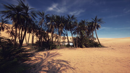 serene dune edge with scattered palms and soft sand, calm horizon under clear sky, minimalist composition with textured patterns and subtle sunlight, ideal © icetray