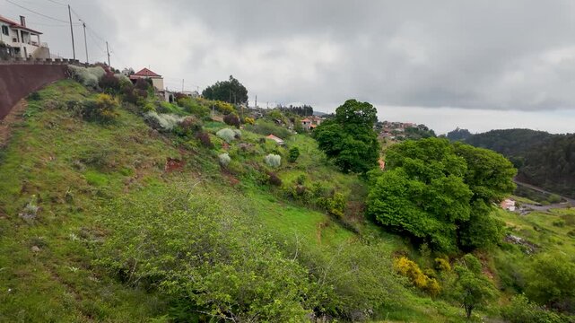 Camacha town, Madeira Island, Portugal