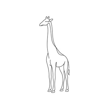 Minimal Giraffe One Line Icon, Elegant Safari Animal Outline Illustration