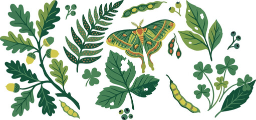 A vibrant collection of diverse woodland foliage featuring a beautiful luna moth and natural plant elements © sehrish