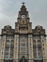 Fototapeta premium Royal Liver building, at the waterfront of Liverpool.
