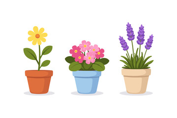 Fototapeta premium Three potted plants with yellow, pink, and lavender flowers on a white background