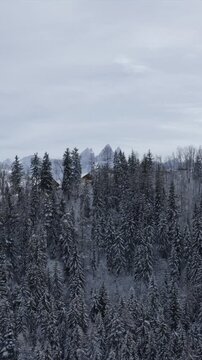 Apparition pic des aiguilles d'armes au dessus de for&ecirc;t enneig&eacute;e