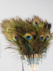 Naklejka premium Colorful peacock feathers create a vibrant display in joyful celebration of natures artistry