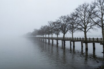 Obraz premium Mist Covered Dock Tranquility