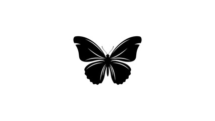 Elegant black butterfly silhouette on white background
