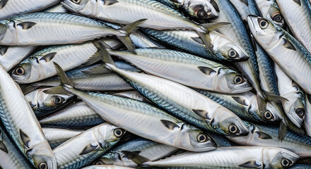 Fototapeta premium Abundant fresh mackerel fish, glistening and piled, ready for market display, culinary preparation, or healthy seafood meals