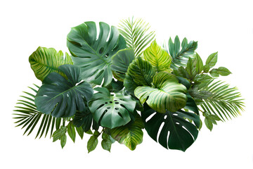 Fototapeta premium Lush Green Tropical Leaves Arrangement