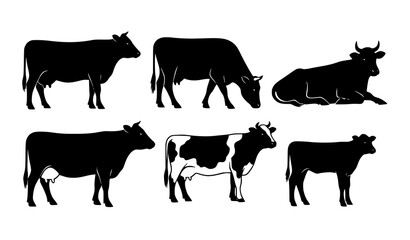Cow silhouette vector set with standing grazing and walking cattle isolated on white background © BijoyChandra