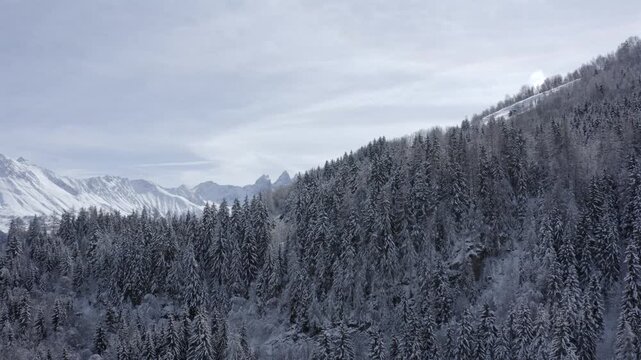 Apparition pic des aiguilles d'armes au dessus de for&ecirc;t enneig&eacute;e