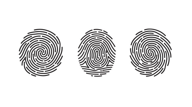 Three black line art fingerprint icons with distinct ridge patterns against a white background for identity verification.