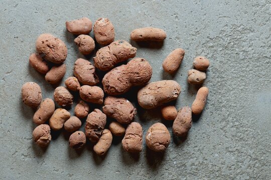 Close-up of a handful of textured red-brown clay pebbles on a gray grunge concrete floor. Detailed drainage for houseplant care and gardening. Natural background with stones of various sizes.