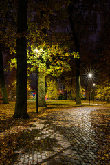 Fototapeta premium Paved pathway illuminated by streetlights in autumn park at dusk, surrounded by trees with colorful fallen leaves. Serene evening outdoor scene for calm mood.
