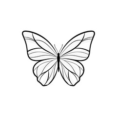 Fototapeta premium A black line drawing of a butterfly isolated on white background