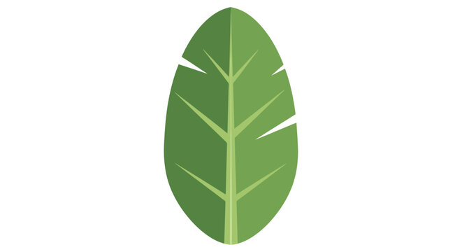 Green Leaf Illustration.