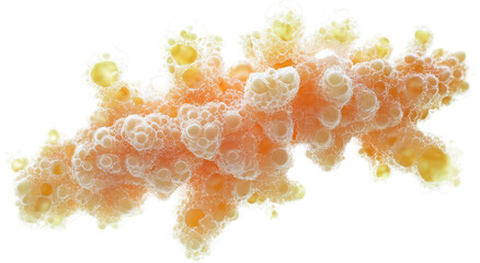 Fried Mozzarella Sticks - Crispy and Cheesy Appetizer - Isolated on White Background